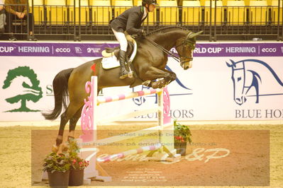 Worldcup Herning 2019
Nøgleord: kevin thornton;pollux du roset ch