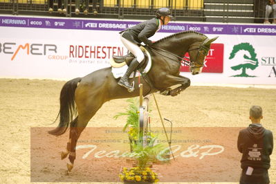 Worldcup Herning 2019
Nøgleord: kevin thornton;pollux du roset ch