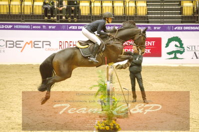 Worldcup Herning 2019
Nøgleord: selma hammerström;lepus