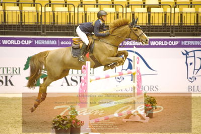 Worldcup Herning 2019
Nøgleord: elba falkenlev;wireina