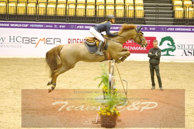 Worldcup Herning 2019
Nøgleord: elba falkenlev;wireina