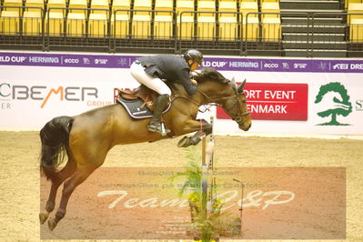 Worldcup Herning 2019
Nøgleord: thomas sandgaard;nørremøllehøjs ariel