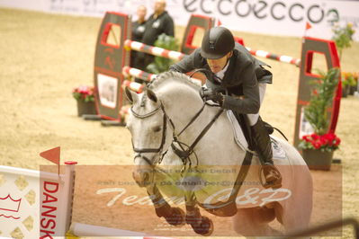 Worldcup Herning 2019
Nøgleord: søren møller rohde;cornettino ask