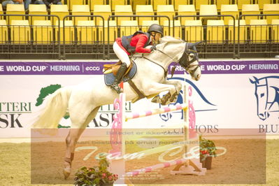 Worldcup Herning 2019
Nøgleord: rikke haarstup kristensen;casira