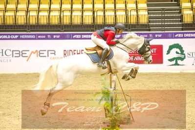 Worldcup Herning 2019
Nøgleord: rikke haarstup kristensen;casira