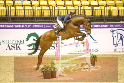 Worldcup Herning 2019
Nøgleord: ameen elmaghraby;velwet queen