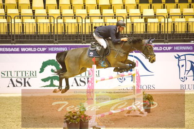 Worldcup Herning 2019
Nøgleord: piet raijmakers jn;van schijndel's amberlina