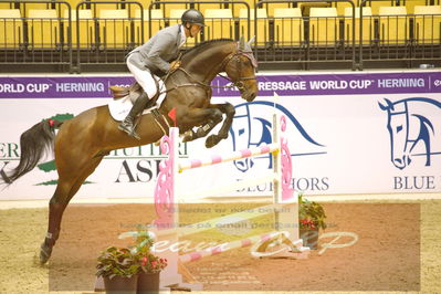 Worldcup Herning 2019
Nøgleord: lars noergaard pedersen;bøgegårdens gladiola