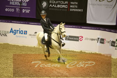 Showjumping
Nord-vest cup åpny 3-2-1
Nøgleord: camilla winther;greenacres titter