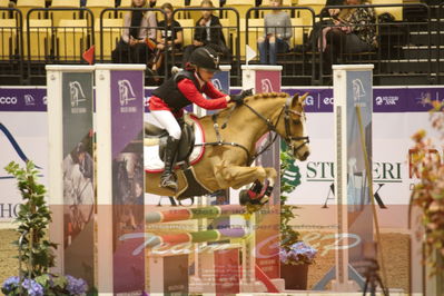 Showjumping
Nord-vest cup åpny 3-2-1
Nøgleord: spirit;laura sofie hilstrøm