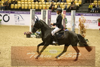 Showjumping
Nord-vest cup åpny 3-2-1
Nøgleord: holly meier hilstrøm;don frederik