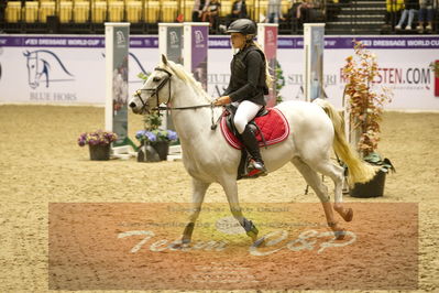 Showjumping
Nord-vest cup åpny 3-2-1
Nøgleord: amalie sophia laursen;edelweis fido