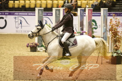 Showjumping
Nord-vest cup åpny 3-2-1
Nøgleord: cecilie løve andersen;klinkhøjs epona