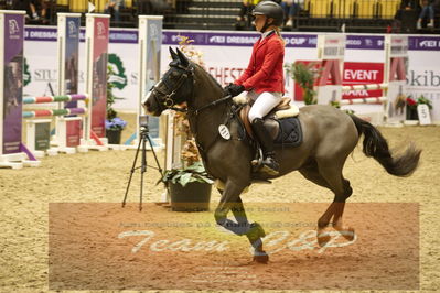 Showjumping
Nord-vest cup åpny 3-2-1
Nøgleord: mie bergsaker;auburn bobby III