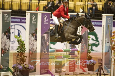 Showjumping
Nord-vest cup åpny 3-2-1
Nøgleord: mie bergsaker;auburn bobby III