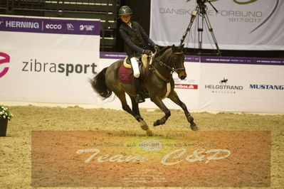 Showjumping
Nord-vest cup ny 3-2-1
Nøgleord: mathilde bligaard;kroggaardens royal pontiac