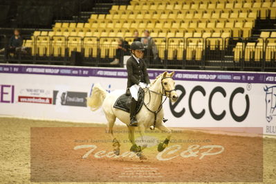 Showjumping
Nord-vest cup åpny 3-2-1
Nøgleord: thilde holm nielsen;riwerstown blonde