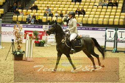 Showjumping
Nord-vest cup åpny 3-2-1
Nøgleord: amalie nanfeldt;amk halo