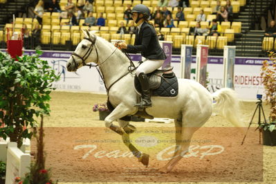 Showjumping
Nord-vest cup åpny 3-2-1
Nøgleord: anne-louise blicher ravnsbo;mr b