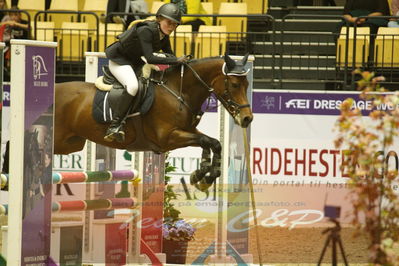 Showjumping
Nord-vest cup åpny 3-2-1
Nøgleord: emma maj lindorff;hallelevgaardens chili