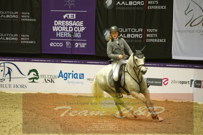 Showjumping
Nord-vest cup åpny 3-2-1
Nøgleord: signe skjellerup;fenrose harwest dawn