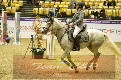 Showjumping
Nord-vest cup åpny 3-2-1
Nøgleord: signe skjellerup;fenrose harwest dawn