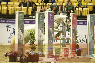 Showjumping
Nord-vest cup åpny 3-2-1
Nøgleord: signe skjellerup;fenrose harwest dawn