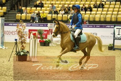 Showjumping
Nord-vest cup åpny 3-2-1
Nøgleord: asta ravnkilde bloch jensen;louis magic