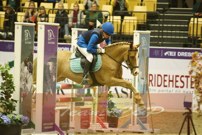 Showjumping
Nord-vest cup åpny 3-2-1
Nøgleord: asta ravnkilde bloch jensen;louis magic