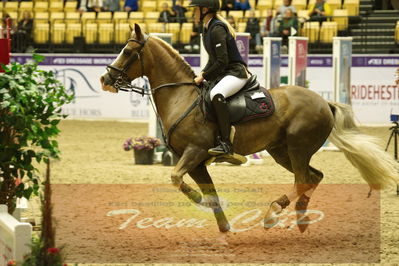 Showjumping
Nord-vest cup åpny 3-2-1
