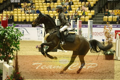 Showjumping
Nord-vest cup åpny 3-2-1
Nøgleord: sacha meldgaard mortensen;lykkebogårds bravehart