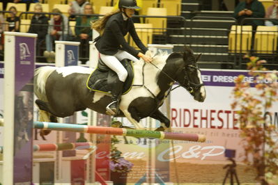 Showjumping
Nord-vest cup åpny 3-2-1
Nøgleord: sanne nysom gamskjær;celia højgaard