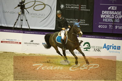 Showjumping
Nord-vest cup åpny 3-2-1
Nøgleord: mette fokinaite;zorba