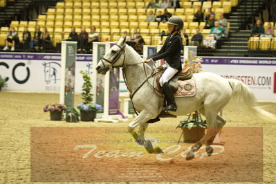 Showjumping
Nord-vest cup åpny 3-2-1
Nøgleord: izabella tardrup frandsen;play misty for me