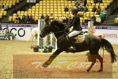 Showjumping
Nord-vest cup åpny 3-2-1
Nøgleord: sarak kaaber munck;jj lucky lady