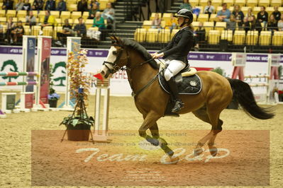 Showjumping
Nord-vest cup åpny 3-2-1
Nøgleord: sille horslund rix;morning surprice