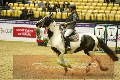 Worldcup Herning 2019
Nøgleord: mathilde schur pedersen;cummermore dolly