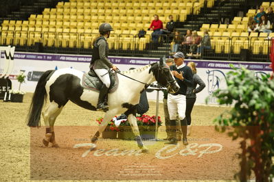 Worldcup Herning 2019
Nøgleord: mathilde schur pedersen;cummermore dolly