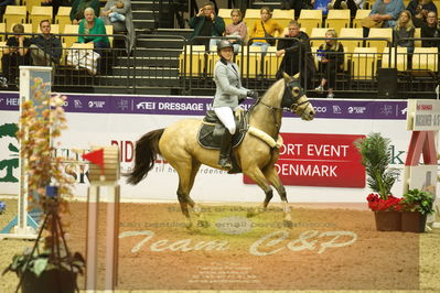 Worldcup Herning 2019
Nøgleord: catharina zenia waterstadt;eskers dreamer