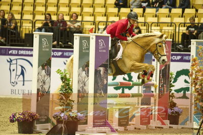 Worldcup Herning 2019
Nøgleord: christine jeanne egtved;nanna af kroggaard