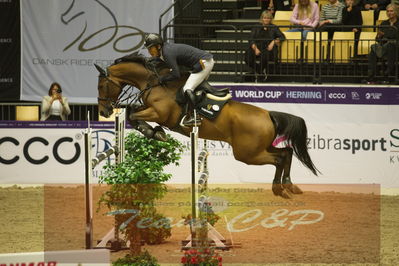 Worldcup Herning 2019
Csi3 grandprix 150cm
Nøgleord: toshiki masui;jericho s