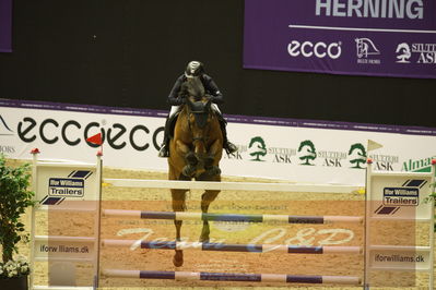 Worldcup Herning 2019
Csi3 grandprix 150cm
Nøgleord: toshiki masui;jericho s