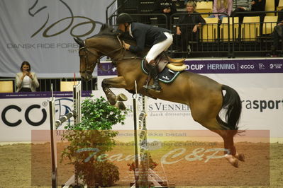Worldcup Herning 2019
Csi3 grandprix 150cm
Nøgleord: kim kristensen;albert k