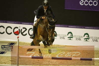 Worldcup Herning 2019
Csi3 grandprix 150cm
Nøgleord: kim kristensen;albert k