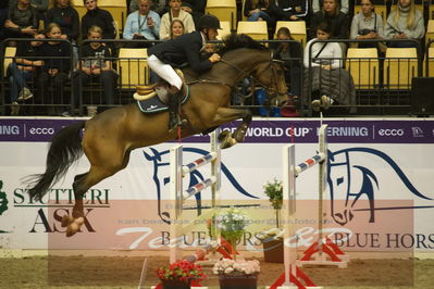 Worldcup Herning 2019
Csi3 grandprix 150cm
Nøgleord: kim kristensen;albert k