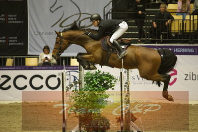 Worldcup Herning 2019
Csi3 grandprix 150cm
Nøgleord: erik preben strand;indoletto