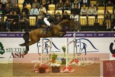 Worldcup Herning 2019
Csi3 grandprix 150cm
Nøgleord: erik preben strand;indoletto