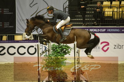 Worldcup Herning 2019
Csi3 grandprix 150cm
Nøgleord: hannes ahlmann;nerrado