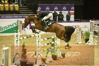 Worldcup Herning 2019
Csi3 grandprix 150cm
Nøgleord: piet raijmakers jn;van schijndel's gladstone