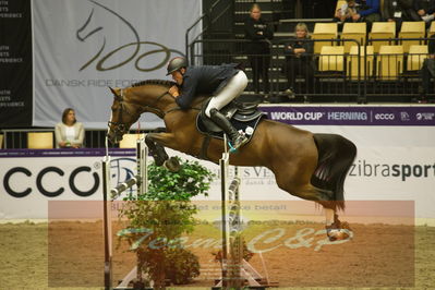 Worldcup Herning 2019
Csi3 grandprix 150cm
Nøgleord: piet raijmakers jn;van schijndel's gladstone